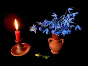 Bouquet of Flowers, Siberian squill, bowl, candle, composition