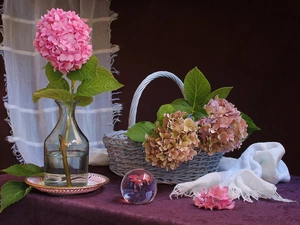 hydrangeas, composition