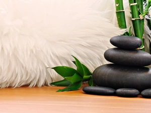 composition, bamboo, Stones