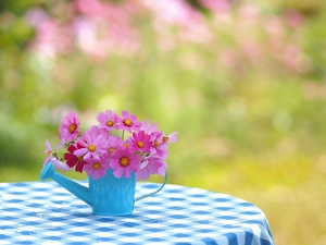 Blue, bouquet, cloth, blurry background, watering can, Cosmos