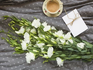 cup, coffee, plate, White, card, twine, Eustoma, bouquet, Flowers