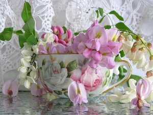 cup, Flowers, peas