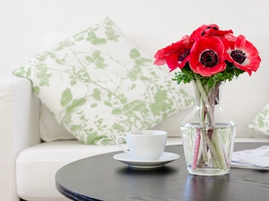 bouquet, Vase, pillows, table, Sofa, Anemones, Flowers, cup