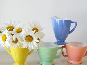 White, color, cups, daisy