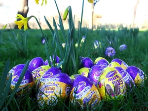 Easter, eggs, Daffodils, chocolate