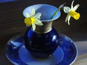 Daffodils, blue, jug