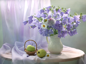 ringtones, bouquet, apples, daisy, composition, jug, basket