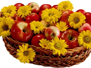 basket, Yellow, daisy, apples