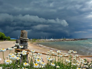 sea, clouds, daisy, dark