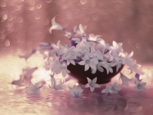 Dalmatian bellflower, graphics