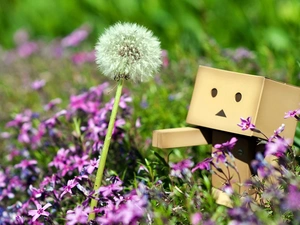 Flowers, Meadow, Danbo, Pink, summer, dandelion, blur