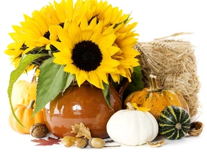 Ears, cereals, sunflowers, pumpkin, bouquet