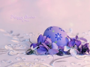 egg, christmas, Easter, Violets