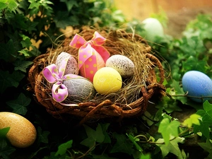 Colorful Easter eggs, ivy, basket