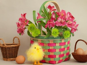 Cage, Easter, Alstroemeria, eggs, composition, Flowers, chicken