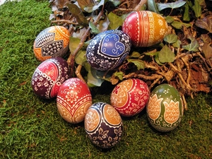 eggs, ivy, color
