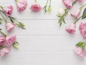 Flowers, White, boarding, Eustoma