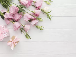 Flowers, gifts, Ribbons, Eustoma