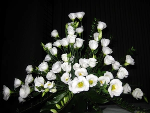 White, bouquet, composition, Eustoma