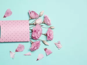 paper, Pink, Blue, Eustomy, Flowers, Purse, background