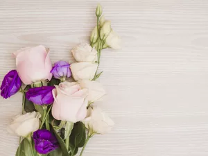 Pink, Purple, boarding, Eustomy, Flowers, roses, background