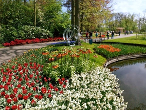 Pond - car, Spring, Floral, walkers, rebates, Park