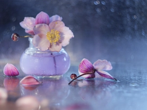 Flowers, vase, Anemone Hupehensis, lilac, decoration
