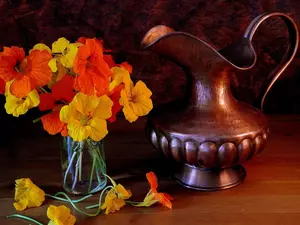 bouquet, nasturtiums, jug, Flowers