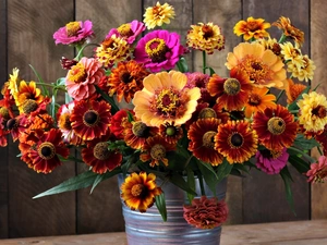 Helenium, color, Bucket, Flowers, bouquet, Zinnias, boarding