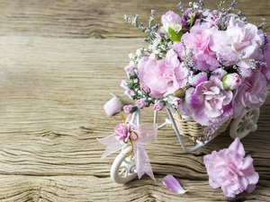 decoration, Flowers, Clove Pink, Bicycle