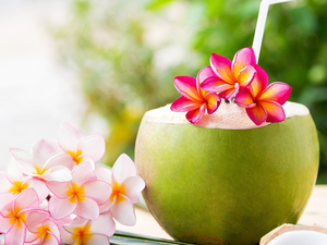 Colourfull Flowers, Coconut, Straw, Plumeria