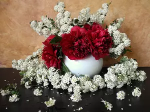 composition, White, flowers, Peonies