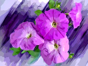 four, petunias, graphics, Flowers