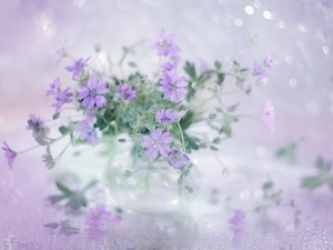 Flowers, Pink, Geraniums