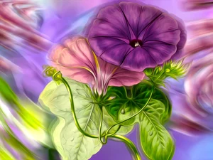 graphics, leaves, petunias, Flowers