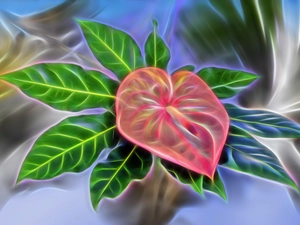 Colourfull Flowers, Leaf, Fractailus, Anturium