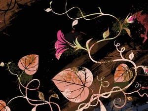 2D Graphics, Colourfull Flowers, bindweed, Leaf