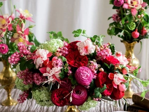 color, Bouquets of Flowers, Fuchsia, roses, glaucoma