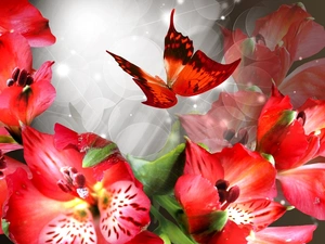Red, butterfly, Alstroemeria, Flowers