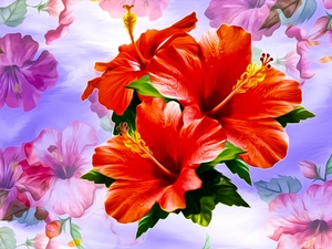 Red, hibiscus, graphics, Flowers