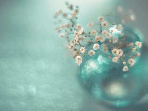 Rock Cress, vase, Flowers