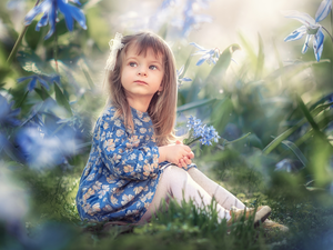 Siberian squill, girl, Flowers