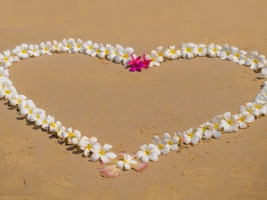 Plumeria, Sand, Heart, Flowers, Love things