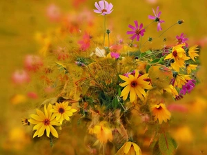 flowers, bouquet, wild