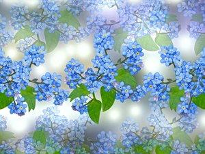 Flowers, leaves, graphics, Forget