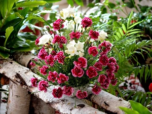 bouquet, Dianthus barbatus, Freesias, flowers