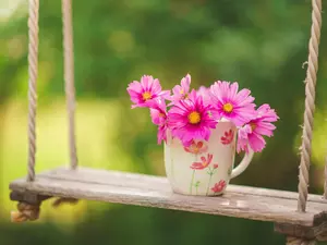 Swing, flowers, Garden, Cup