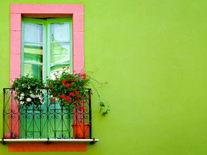 geranium, Balcony, Flowers