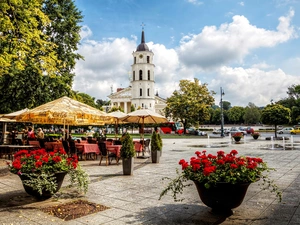 trees, Church, Flowerpots, Restaurant, Vilnius, viewes, With geraniums