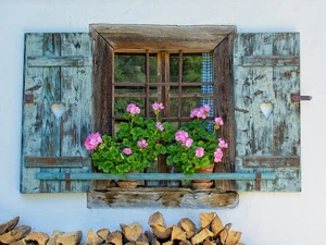 parapet, geraniums, Window, Flowers, house